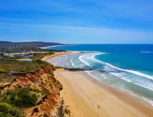 19 Sensational Things To Do In Anglesea