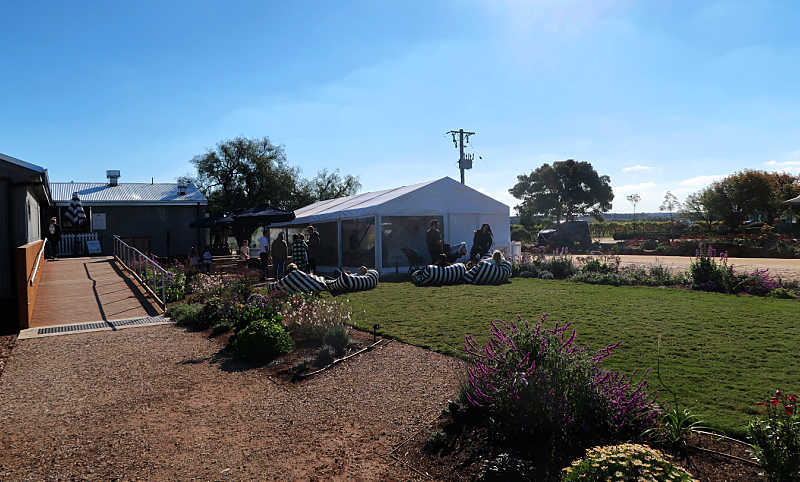 View of Austins Winery Geelong with people relaxing on striped bean bags in the grounds of the cellar door. There are flower bushes in the foreground.