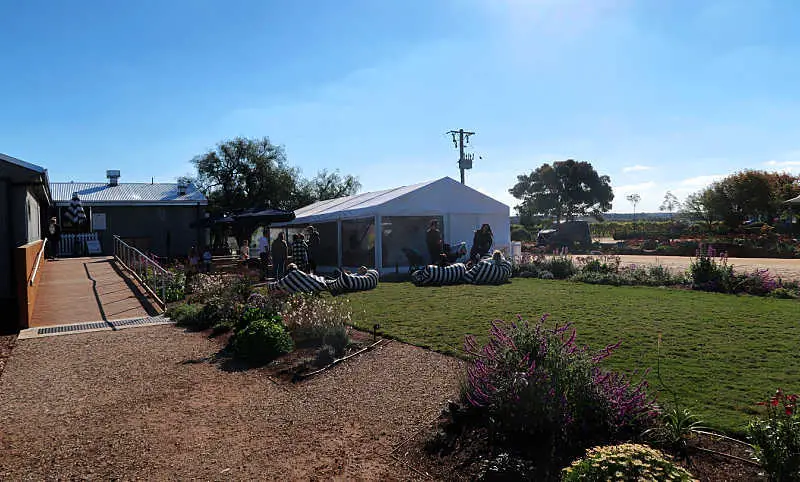 View of Austins Winery Geelong with people relaxing on striped bean bags in the grounds of the cellar door. There are flower bushes in the foreground.