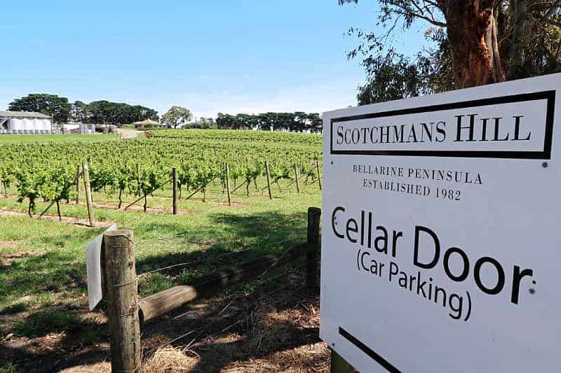 Photo of Scotchman's Hill sign and vineyard