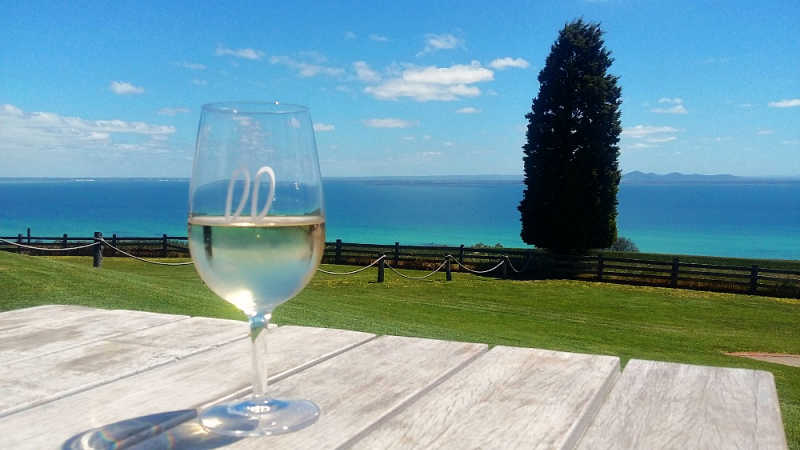 Photo of a Jack Rabbit wine glass next to a tree with views of the bay a beautiful Bellarine winery.