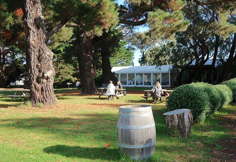 People sitting at picnic tables drinking wine at Bellbrae Estate a Surf Coast winery in Geelong with a wine barrel in the foreground.