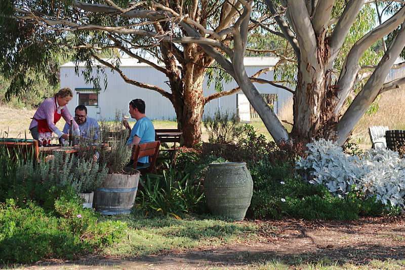 Two men being served wine under a beautiful old gum tree at Dinny Goonan Wines.