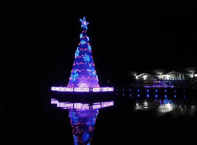 Geelong Christmas Tree at night.