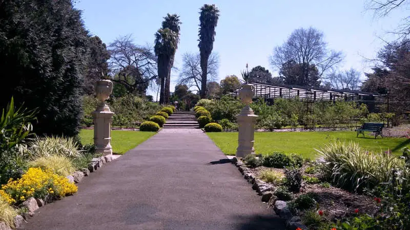 Pathway and trees at the botanical gardens geelong.