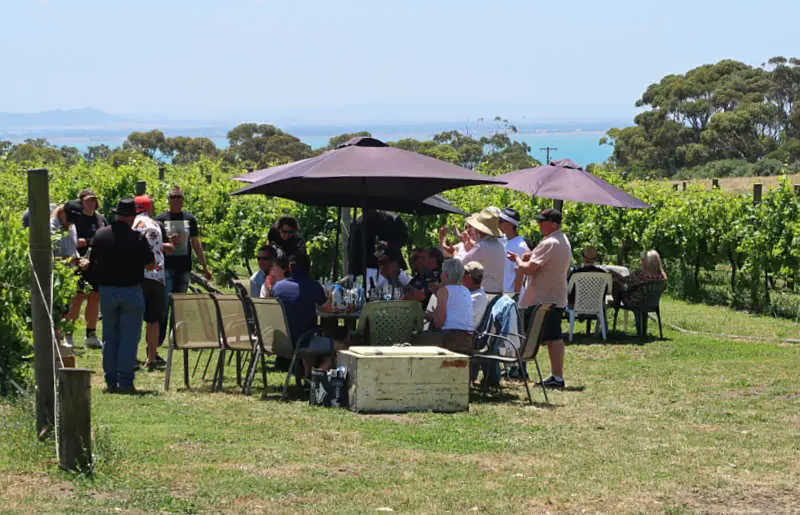 People tasting wine under umbrellas amongst the vines on a Geelong winery tour.