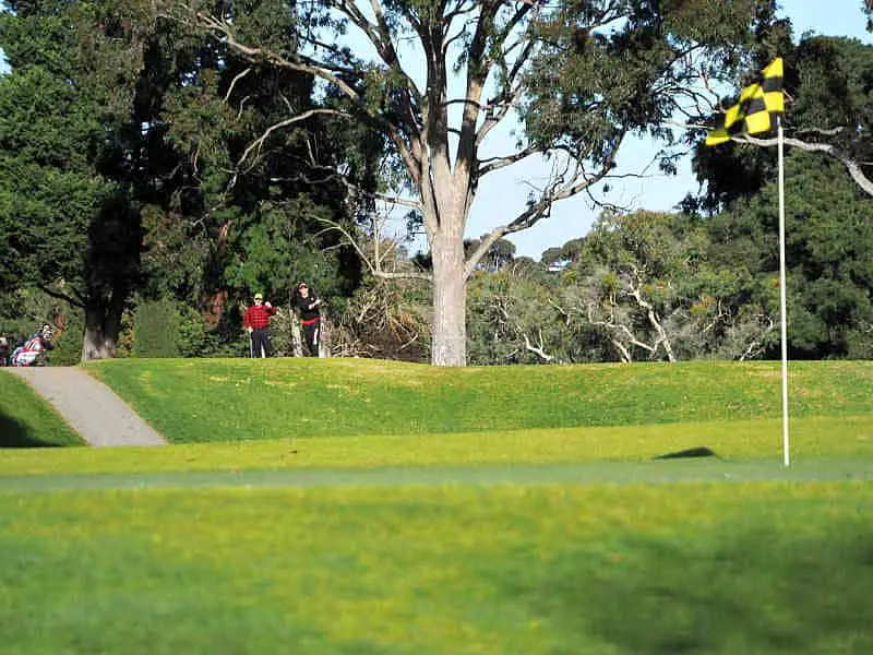 Golfers and flag at Geelong golf courses.