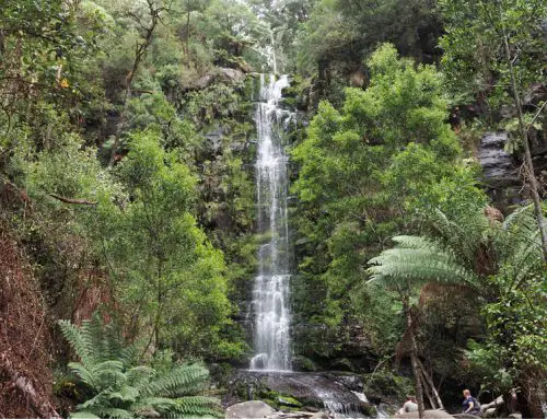 10 Unforgettable Lorne Waterfalls-Don’t Miss These!