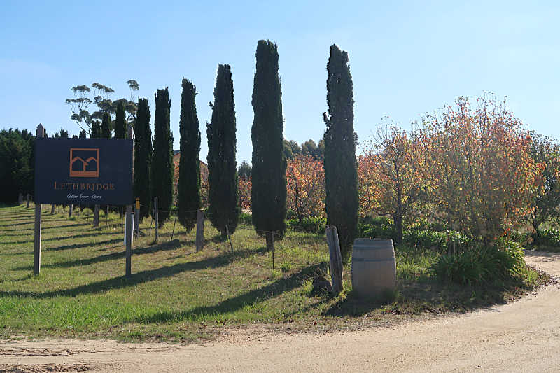 Lethbridge Geelong winery sign with trees lining the driveway and a wine barrel. at the entrance.