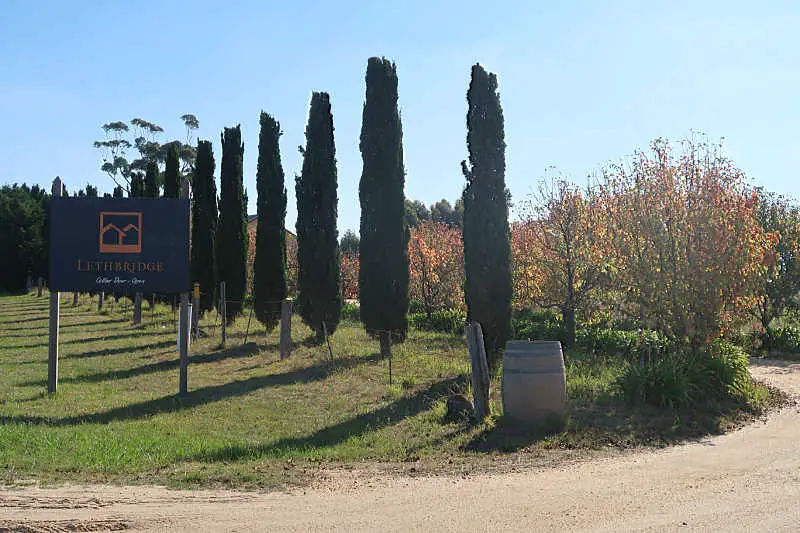 Lethbridge Geelong winery sign with trees lining the driveway and a wine barrel. at the entrance.