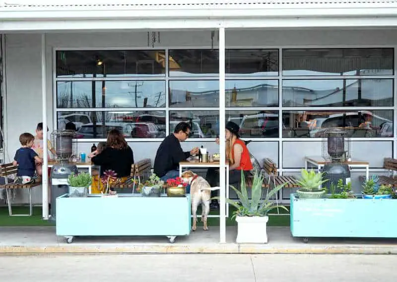 People having breakfast at Pickers Union Cafe amongst potted plants and a dog.