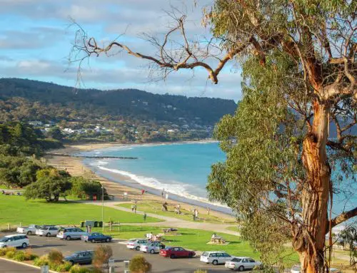 17 Epic Things To Do In Lorne