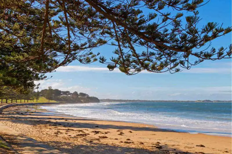 View of Torquay beach along the foreshore in Victoria, Australia.