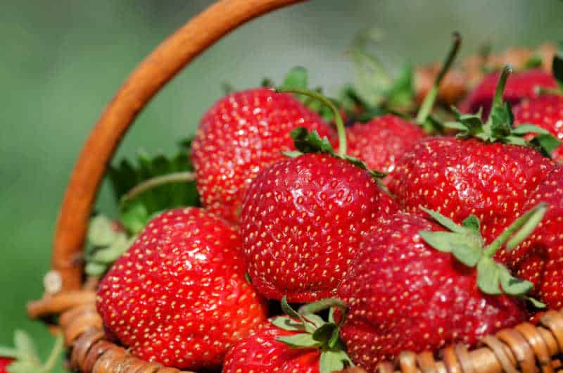 Basket of luscious red strawberries at the Wallington Strawberry Fair.